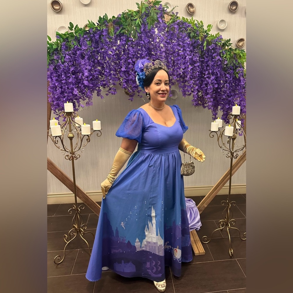 Cinderella Maxi Dress- EUC Large